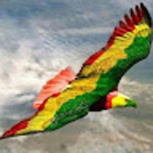 Meet your Posher, Ochan